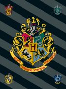 Detská fleecová deka Harry Potter | 100/150